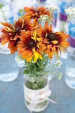 wedding Decoration Ideas