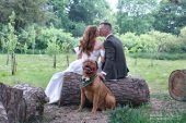 Rothley Court meadow 2025